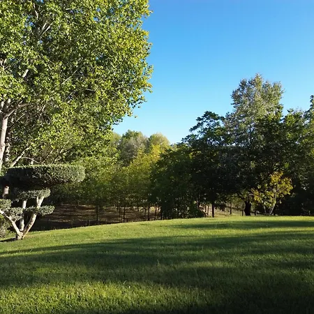 בית נופש Refugio Da Perdiz - Nature's Luxury Retreat Juncal (Leiria)